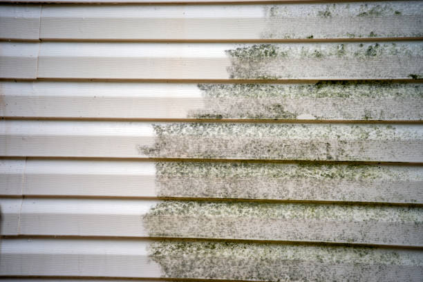 Best Mattress Disposal  in Hawthorne, FL