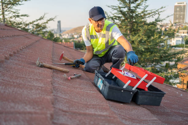 Best Yard Waste Removal  in Hawthorne, FL